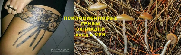 apvp Балахна