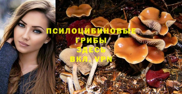 а пвп мука Балабаново