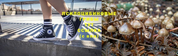 дживик Армянск