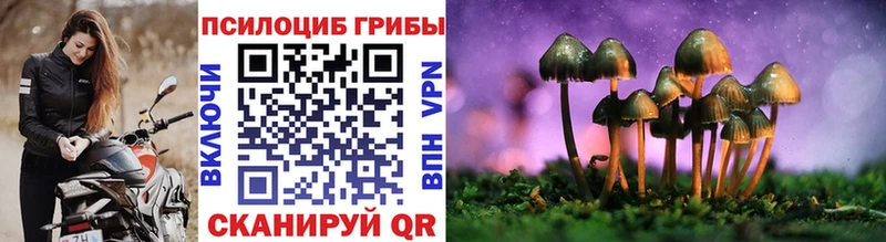 купить наркотики цена  Полярный  Псилоцибиновые грибы Cubensis 